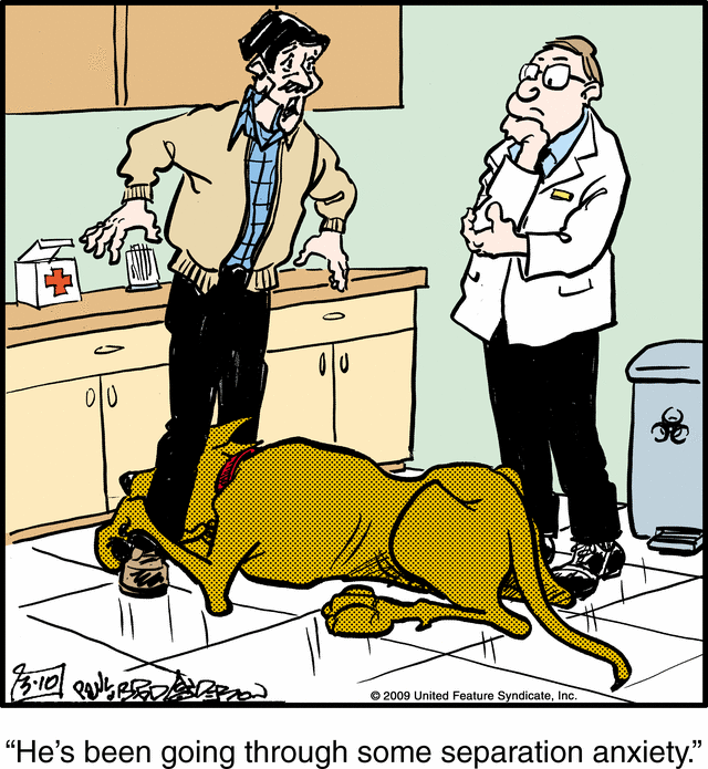 marmaduke